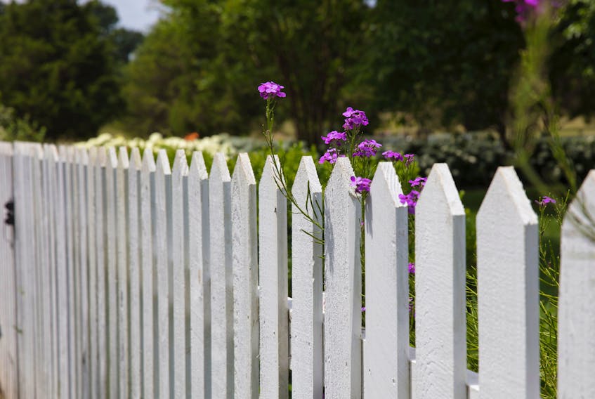 A Glace Bay couple moved a fence and trampled their neighbour's shade garden to accommodate a swimming pool. UNSPLASH/STOCK IMAGE