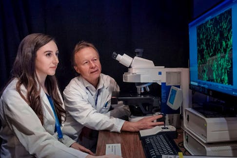  Katherine Jeffris, a graduate research assistant at UBC, and Dr. Wolfram Tetzlaff are analyzing the alignment of our gels after injections into spinal cords – the gels contain small rods that are green fluorescent and respond to a magnetic field.