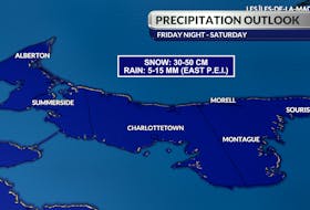 Between 30-50 centimetres of snow is expected to fall on most parts of P.E.I. this weekend as a storm moves through the region. 