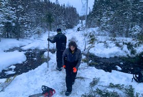 The Western Sno-Riders have been making repairs to a flooded section of snowmobile trail between the Trans-Canada Highway and the Lewin Parkway in the area of Massey Drive.