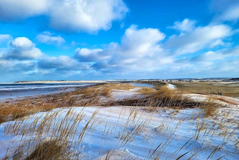 Beach day, anyone? Annelize Malan took this photo of a snow-covered Cabot Beach after last weekend’s winter storm on Prince Edward Island. The blue sky and golden reeds contrast beautifully with the fresh snow, a perfect mix for those that can’t choose between beach days and snow days. Thank you for sending this, Annelize.  

Send your storm photos for a chance to be featured: weather@saltwire.com.