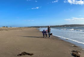 It may seem odd to head to the beach in the winter, but it actually makes a fantastic place to hike, says Heather Fegan. She and her family headed to Rainbow Beach and had an entirely different experience than they have in summer.