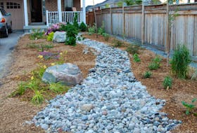 Gardeners should try to resist the temptation to water a xeriscape garden in times of drought no matter what it looks like while dry.
