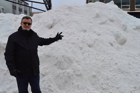 Coun. Terry MacLeod, chair of Charlottetown council’s public works committee, stands by a snowbank in the middle of Great George Street on Jan. 17.