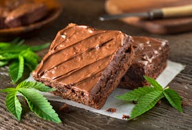 Several seniors from South Dakota needed medical attention recently when they accidentally consumed weed brownies.