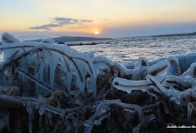 This photo sums up how many of us are feeling in the region today: cold! Judith LeBlanc-Brennan captured this photo of the shoreline at Christies Beach near Little Bras D’or, N.S., coated in ice. It’s certainly not uncommon to have this happen when temperatures are below freezing, and high winds blow water onshore. Still, it always looks very cool. No pun intended. Thanks for sharing, Judith.