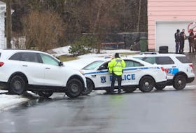 One person was rushed to hospital after being struck by a vehicle on Swan Crescent in Halifax just before 3 p.m. on Jan. 20, 2022.