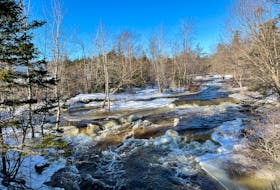 We are in the grips of a January thaw, which is good news for Thomas Osborne and his favorite freshwater stream off Dyke Road in Eastern Passage, N.S. If it wasn’t for the snow and lingering ice, I might have been fooled to think this was summer. Thank you for sharing, Thomas.