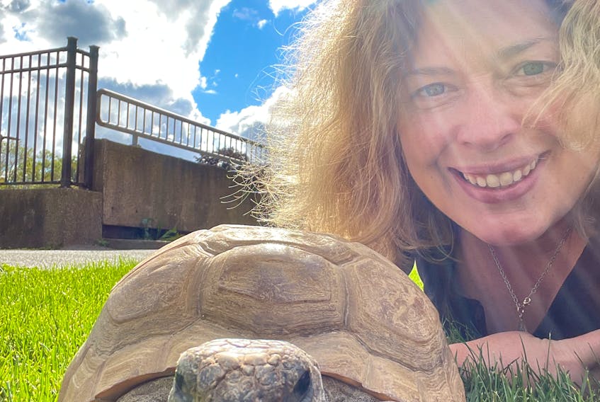 Heather McKinnon Ramshaw poses with Gus, the oldest recorded gopher tortoise in captivity, at the Nova Scotia Museum of Natural History.   McKinnon has been an animal care coordinator at the museum for 14 years. - Contributed