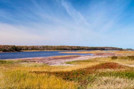 Epekwitk Mi’kmaq, federal government establish national park reserve along P.E.I.'s north shore