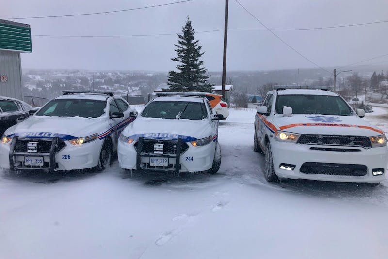 Police vehicles could be seen in the Gosse's Lane area of Torbay at midday on Jan. 23.