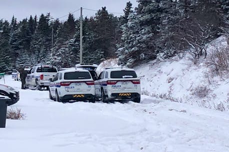 UPDATE: Royal Newfoundland Constabulary peacefully resolve Torbay armed standoff