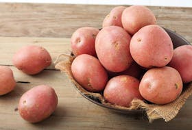 A P.E.I. potato pre-processing and washing facility is set to receive a $600,000 from Ottawa to increase potato washing capacity and help the industry find new markets.  