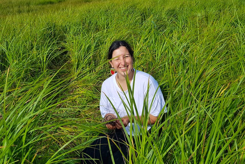 Kalo Sylvester has been picking sweetgrass for years, since she learned the tradition from elders in her community of Membertou First Nation. She said the cultural practice is a spiritual, meditative experience for her. CONTRIBUTED
