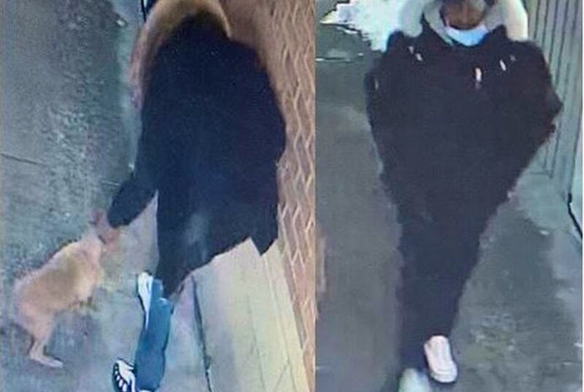 Two men wanted in a robbery with a firearm investigation.