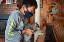 One of the videos nine-year-old Ted Zheng of Alexandra, P.E.I., and his father, Zack, have uploaded to Zack’s TikTok account is of their cats playing the piano. Of course, the videos are jazzed up for entertainment.