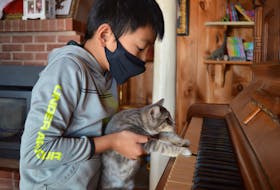One of the videos nine-year-old Micky Zheng of Alexandra, P.E.I., and his father, Zack, have uploaded to Zack’s TikTok account is of their cats playing the piano. Of course, the videos are jazzed up for entertainment.