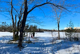 There are several little offshoots of Lakeview Trail leading to the edge of the frozen lake. Contributed photo