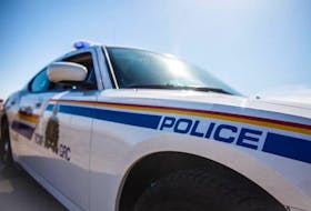 Two suspended drivers travelling together on a short trip from Corner Brook to Pasadena have been ticketed and had their vehicles seized after the pair were stopped twice by RCMP on Jan. 22.
