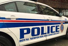 Royal Newfoundland Constabulary said two men are facing several charges in connection with a carjacking and armed robbery in the metro area on Monday, Jan. 24. 