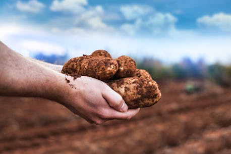 P.E.I. POTATO BOARD: Long Term Potato Wart Management Plan is not a secret document