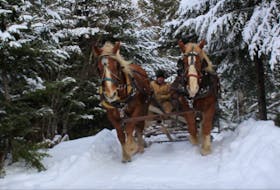MacLellans Mountain Sleigh Rides offers horse-drawn sleigh rides around their property. 