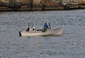 Category B licence holders wish to retire, but the DFO's moonlighter policy dictates that the licences are not transferable and expire upon death of the holder, leaving them no option but to continue fishing to remain in their homes, pay for medication, and care for their loved ones.