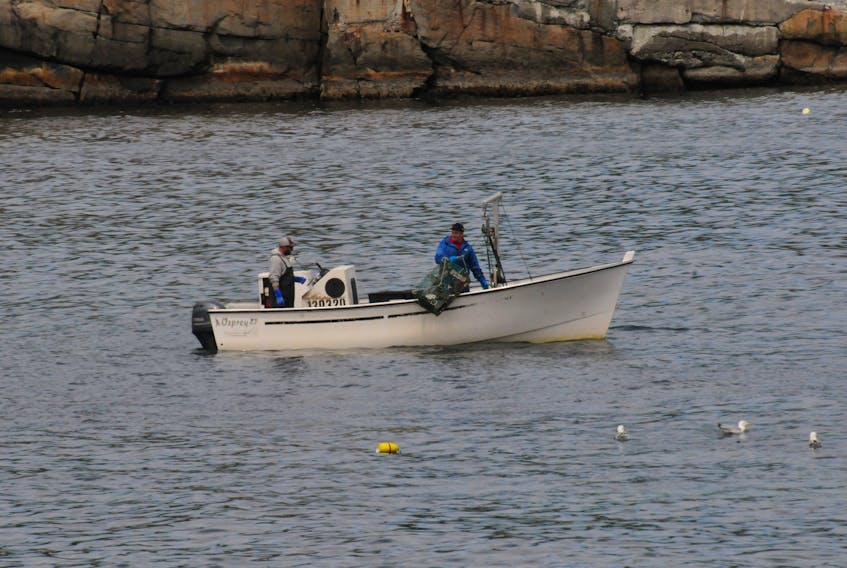 Category B licence holders wish to retire, but the DFO's moonlighter policy dictates that the licences are not transferable and expire upon death of the holder, leaving them no option but to continue fishing to remain in their homes, pay for medication, and care for their loved ones.