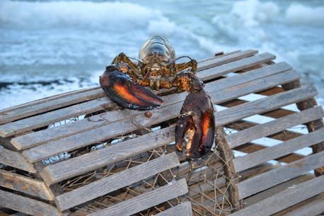 P.E.I. lobster fishermen still awaiting setting date