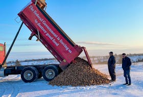 Alex and Kenneth Docherty, father and son, stand by as a truckload of seed potatoes is dumped in a field, prior to being destroyed by a snowblower. Alex estimates that he may have to destroy 250 more truckloads of his crop over the course of the season.