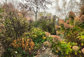 Mark and Ben Cullen suggest the cardinal rule when attracting birds to a garden is to leave perennials standing for the winter. 