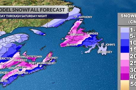 ALLISTER AALDERS: Significant snow, high winds set to impact much of Atlantic Canada Jan. 7-8