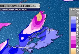 Snow levels will sit between 10 and 20 cm for most of Cape Breton and between 20 and 40 cm for the Cape Breton Highlands. SaltWire Network