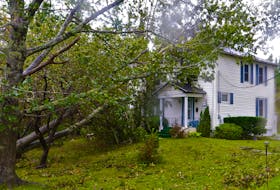 A large tree was blown over onto a house in Coxheath. The owner was sheltering at relatives when the storm forced the tree down. NICOLE SULLIVAN / CAPE BRETON POST