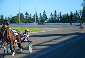Driver Mark Bradley gets ready for a race at Racetrack and Casino at the Charlottetown Driving Park earlier this season. Bradley earned career driving win No. 1,000 during an Atlantic Breeders Crown program in Charlottetown on Oct. 9. Jason Simmonds • The Guardian