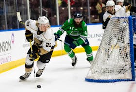 Forward Orrin Centazzo is back in St. John’s this week for start of his second training camp with the Newfoundland Growlers. The Growlers open camp on Wednesday with 20 players in camp. Joe Chase/Newfoundland Growlers