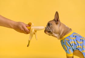 Bananas are a plentiful and cheap fruit - but are there things you can do with them other than eating them or making a banana bread? - Unsplash
