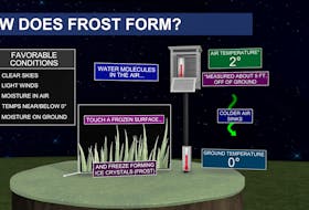 The ideal conditions needed for frost to develop.
