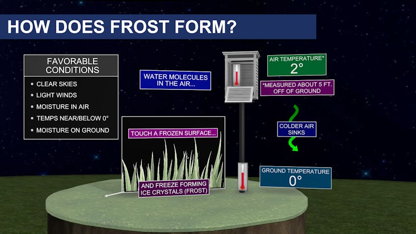 The ideal conditions needed for frost to develop.