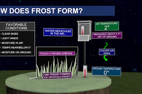 BEHIND THE WEATHER: Frost formation
