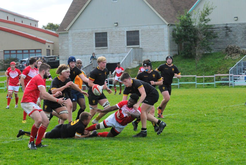 Players on the Memorial University of Newfoundland (MUN) Sea-Hawks and Dalhousie University Tigers from Halifax, N.S. rugby sides, are shown in first-half action of their Atlantic University Sport (AUS) rugby match-up at the Swiler’s Rugby complex on Sunday afternoon, Oct. 9, MUN lead 24-0 after the first 40-minute half.
Joe Gibbons/The Telegram