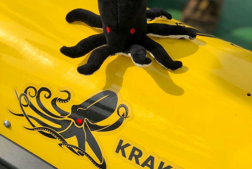 Newfoundland and Labrador’s Kraken Robotics has received a new contract to supply batteries for a manufacturer of underwater drones. File