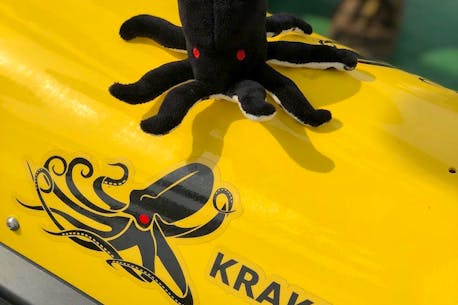 Newfoundland's Kraken Robotics awarded $50-million Royal Canadian Navy contract