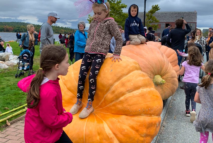 Children have fun climbing up and sliding down the giant pumpkins at the Shelburne County Giant Pumpkin Festival on Oct. 8. KATHY JOHNSON