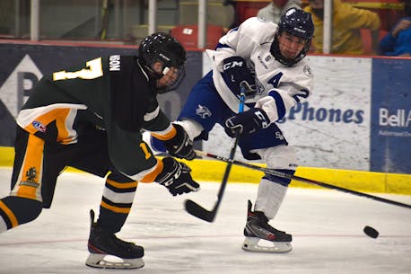 Preview: Cape Breton High School Hockey League to feature veteran-filled lineups for the 2022-23 season