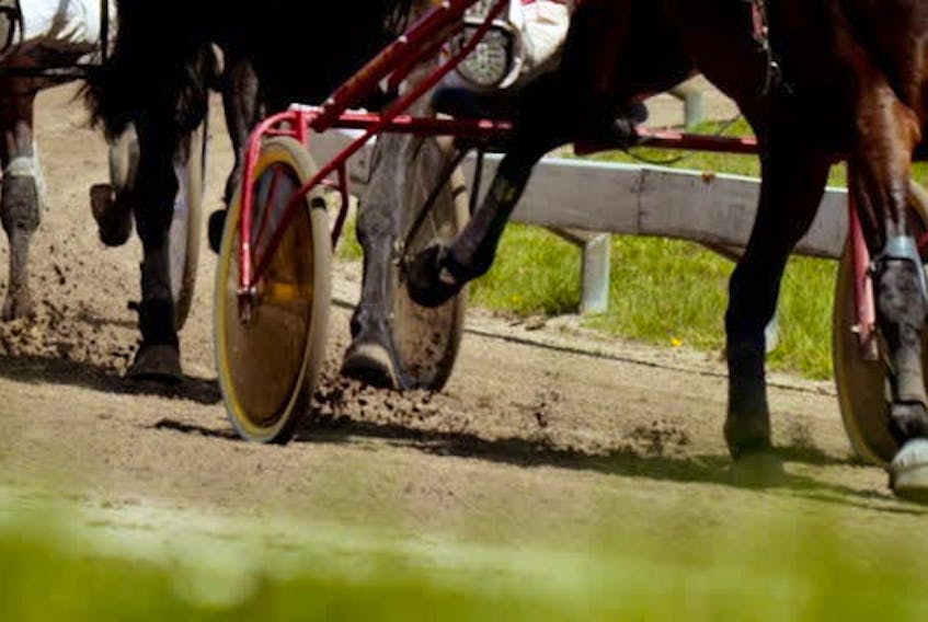 Summerside’s AceFortyFour finished first in the Atlantic aged pacing mares final at Red Shores Summerside on Oct. 17. File