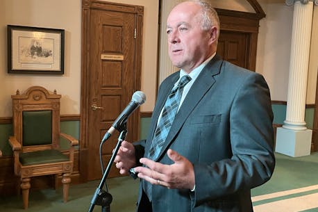 Opposition calls for provincewide investigation of long-term care in Newfoundland