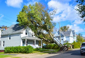 A tree felled by Fiona leans on a house on Union Street in Sydney. The storm caused damage in much of Nova Scotia but Cape Breton was particularly hard it. NICOLE SULLIVAN / CAPE BRETON POST