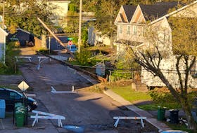 Felled trees knocked out power lines, disrupting power and internet services for tens of thousands of Island homes following post-tropical storm Fiona. - Stu Neatby • The Guardian