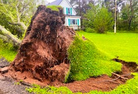 The Municipality of Pictou County will begin roadside tree and brush cleanup for rural residents who need to clean up waste after post-tropical storm Fiona on Oct. 26. File photo.